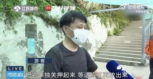 网友拍到网红吃瓜,网友直呼“太真实”